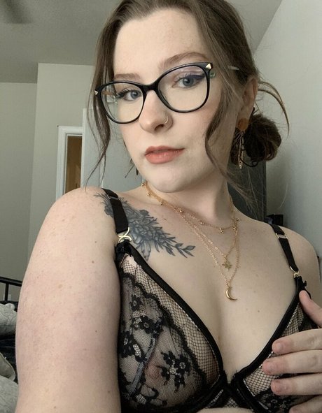 elfbxby étoile parfaite galeries