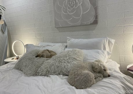 Soyacide modèle galeries