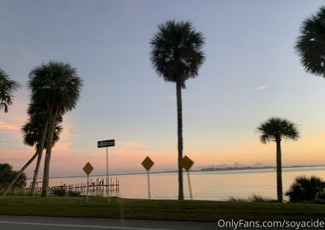 Soyacide modèle pornographique galeries