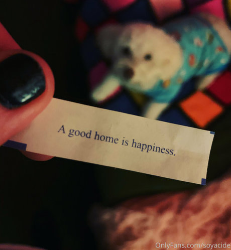 Soyacide étoile parfaite archive