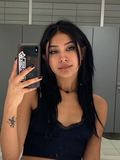 PaintJunkBunny jolie star du porno collection