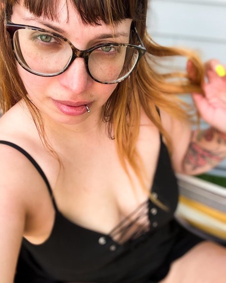 Ibiche étoile photo