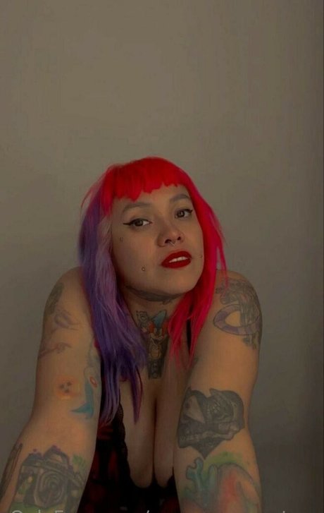 Pamonstruo étoile nue galeries