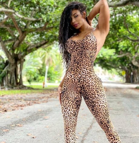 Shar Zayn star du porno collection