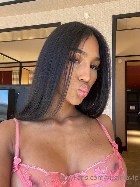 Virginia Sanhouse art de star du porno des photos