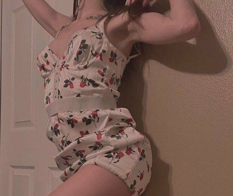 bel0vedbambi étoile de haute qualité galeries