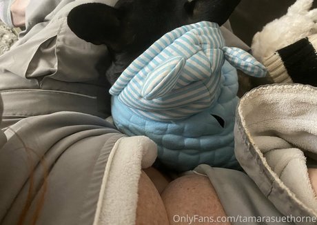 Tamarasuethorne modèle hd photos