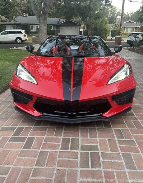 Tamarasuethorne haut modèle photos