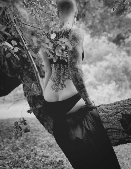 fans de hooters uniquement art de haute qualité images