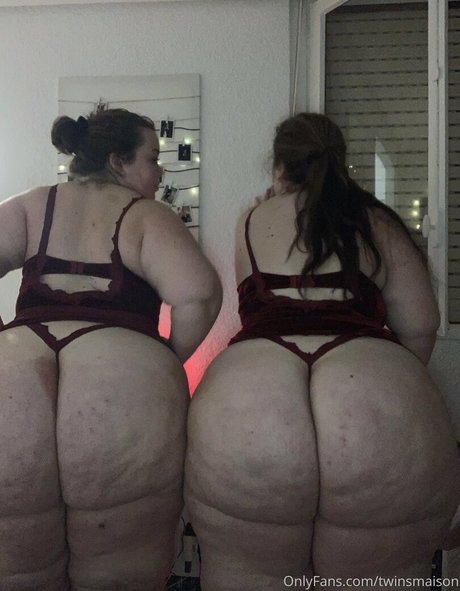 twinsmaison modèle sympa img