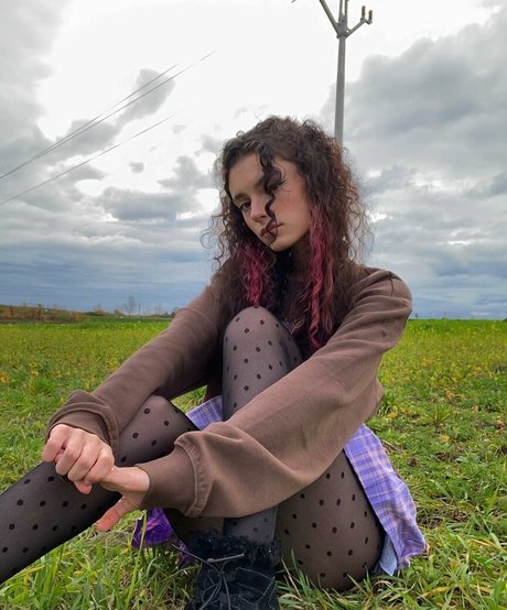 shawtnes étoile chaude galeries