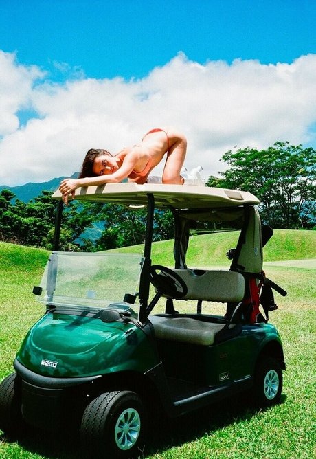 fans de travestis uniquement pornographique en haute définition collection