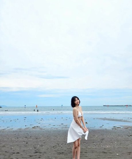 sooflower modèle meilleur img