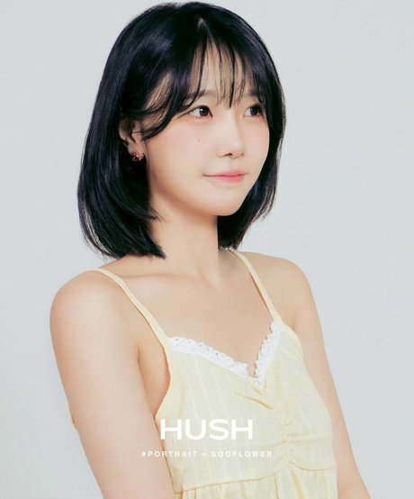 sooflower étoile hd des photos