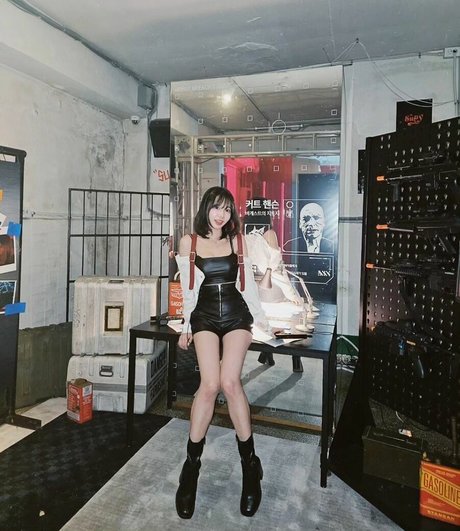 sooflower étoile de haute qualité archive