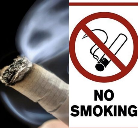 freeswissladyschweiz mannequin photos