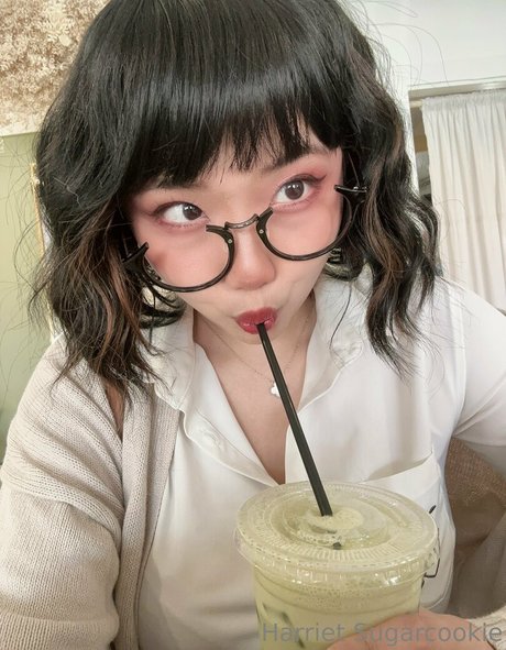 harrietsugarcookie art étoile galerie