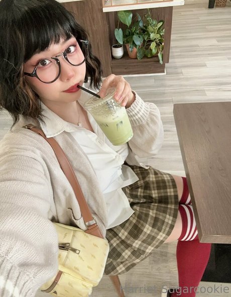 harrietsugarcookie haut modèle img