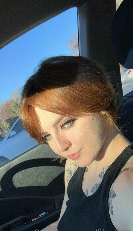 lilvelma modèle de haute qualité galerie