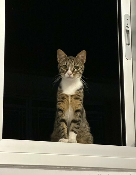 pixeljadearixela modèle érotique des photos