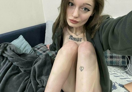 littleharley q étoile gratuite des photos