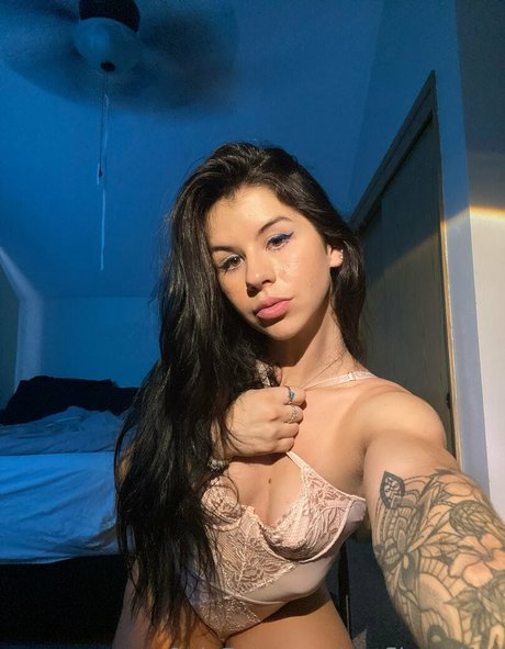 chaton potelé uniquementfans art haute définition img