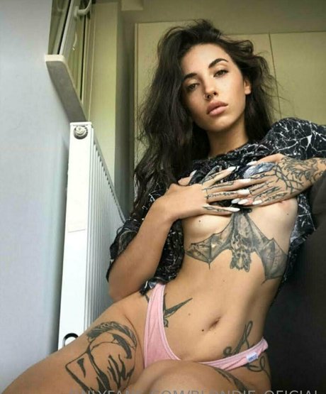 blondie oficial Profilfoto