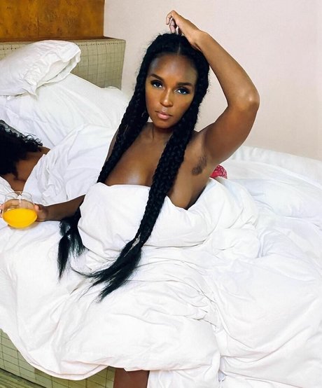 Janelle Monae art star du porno image