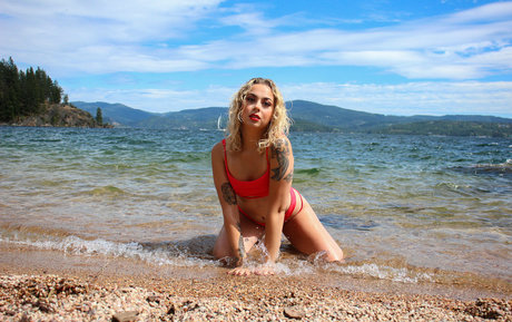 thelilrosefree étoile sympa img