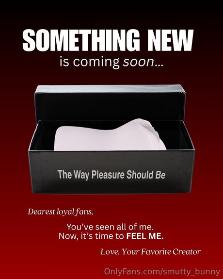 smutty bunny étoile de l'art photos