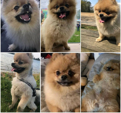 fans de transsexuelles blanches uniquement porno gratuit des photos