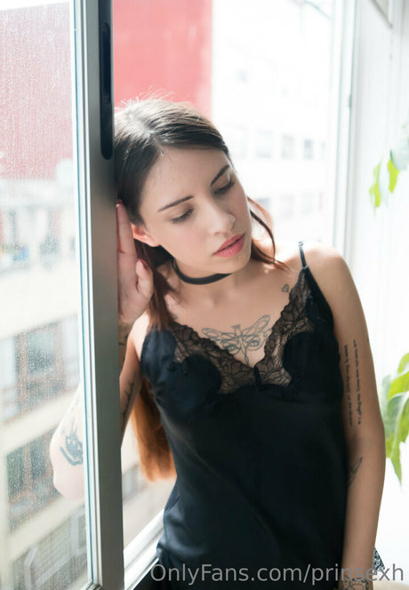 prinsexh modèle exclusif galerie