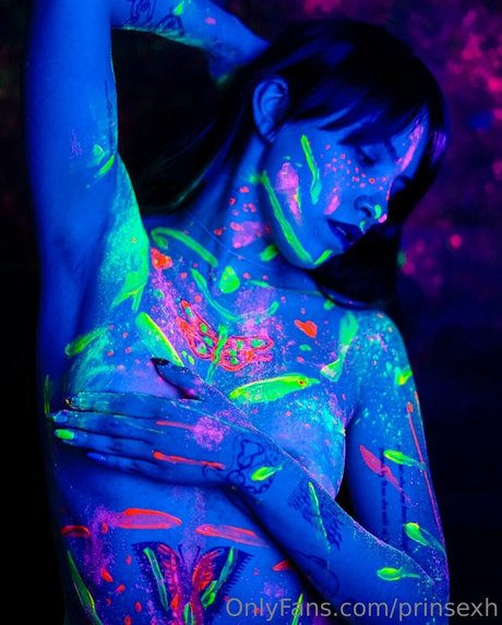 prinsexh modèle exclusif galerie