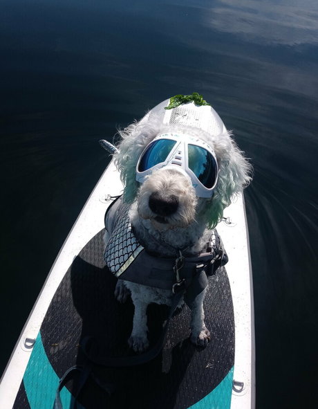 doitwithdaisy star du porno chaud image