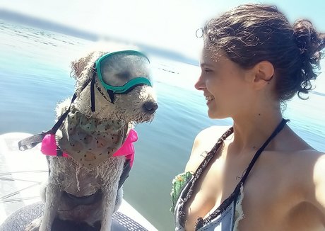 doitwithdaisy étoile magnifique photos