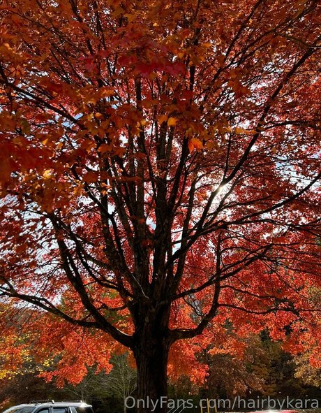 hairbyharleyy actrice xxx galerie