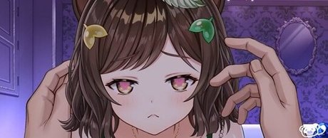 honda poko étoile chaude collection