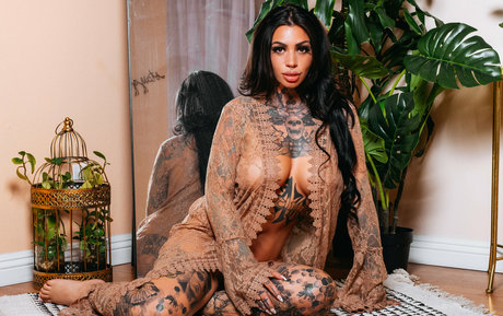 misscepha sexe de star du porno collection