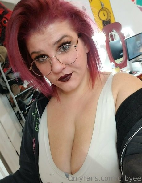 c byee meilleur modèle img