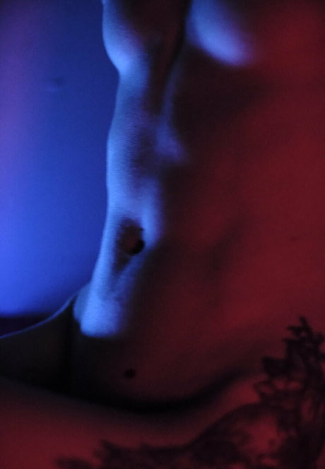 lilbird 777 modèle hd des photos