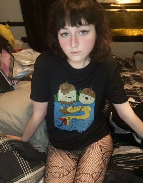 korvid snd Fotoaufnahmen