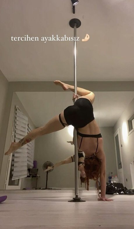 Dixowho jolie star du porno archive