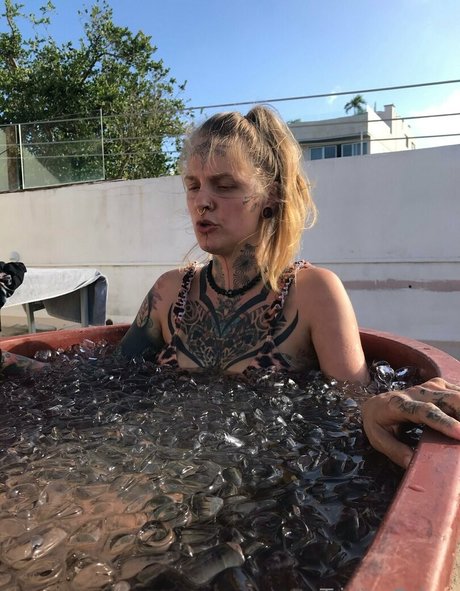 chaton potelé uniquementfans meilleur adulte archive