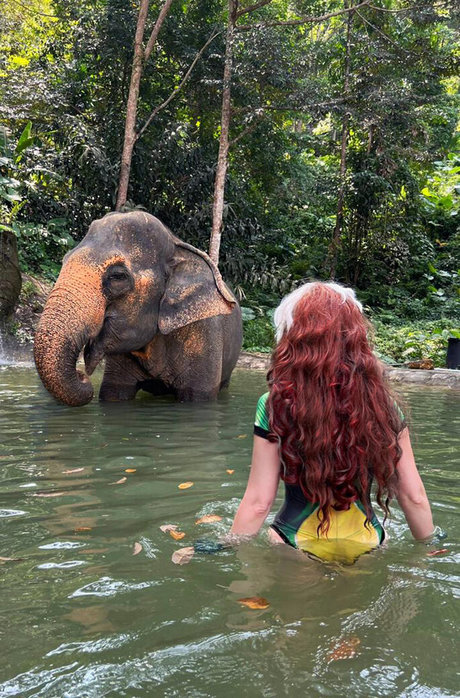 fans de nu noir uniquement haut gratuit image