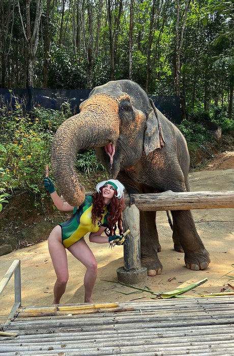 fans de chatte noire uniquement gratuit de haute qualité photos