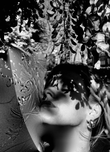 Alice Eve star du porno gratuite collection