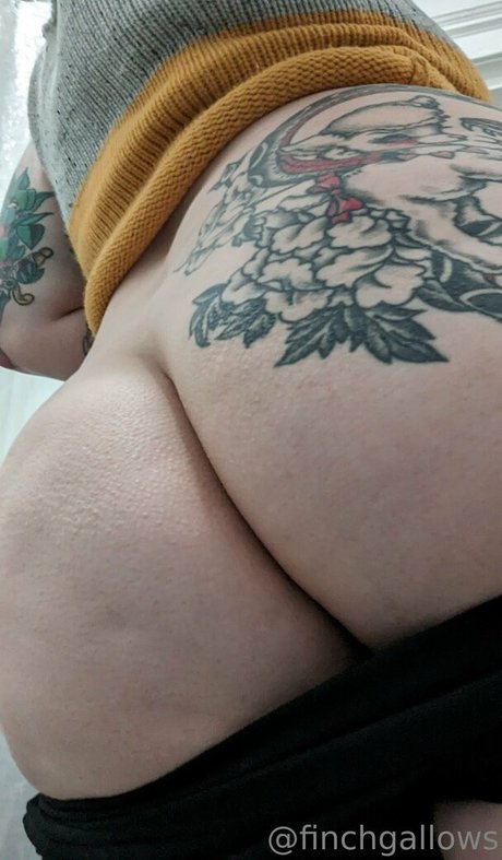 finchgallows Profilfoto