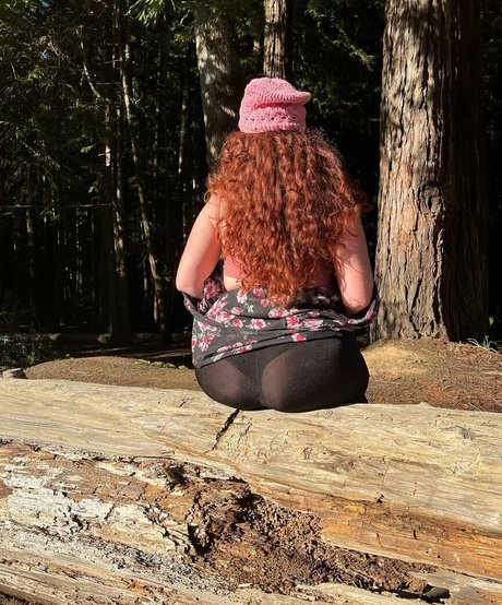 allnaturalaurora étoile de l'art archive