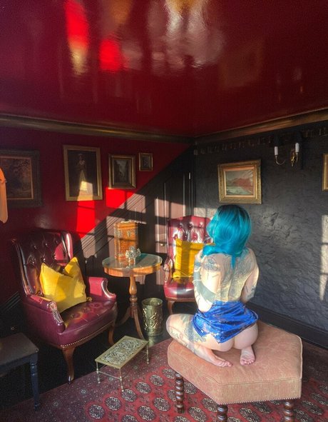 Katsandcrows nus étoiles photos