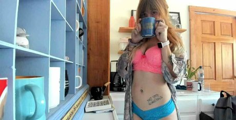 sandtripper modèle meilleur img